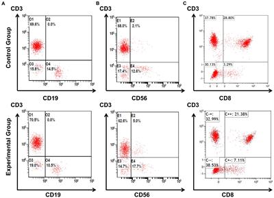 Comparison of peripheral blood T, B, and NK lymphocytes between frontline medical workers for treating patients of COVID-19 and normal outpatient and emergency medical workers in China